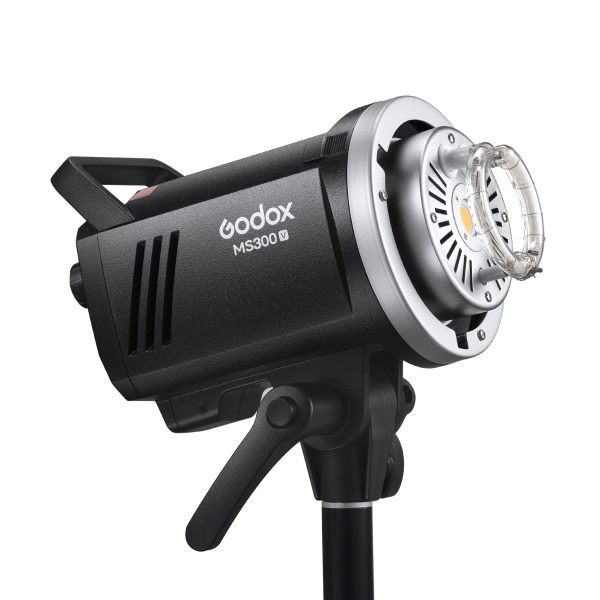 Godox MS300 V 1