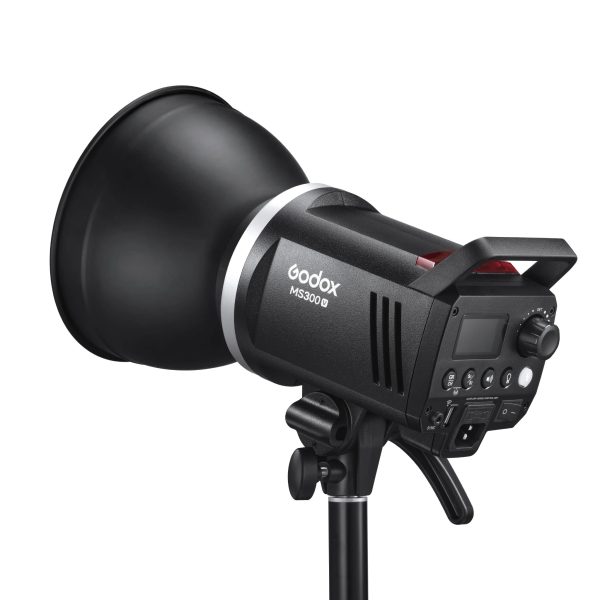 Godox MS300 V 3