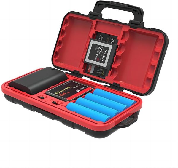 Desiontal battery & memory card case