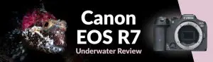 دوربین بدون آینه کانن Canon EOS R7 Mirrorless Camera Body