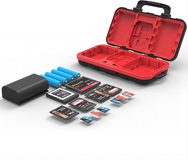 Desiontal battery & memory card case