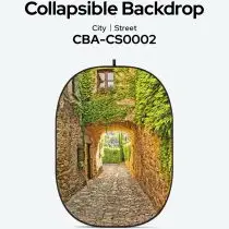 فون پرتابل گودگس GODOX CBA-CS0002 Collapsible Background