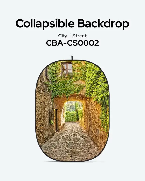 فون پرتابل گودگس GODOX CBA-CS0002 Collapsible Background